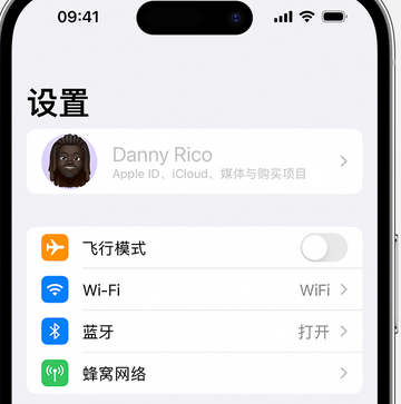 宜秀appleID维修服务iPhone设置中Apple ID显示为灰色无法使用 