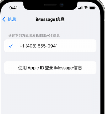 宜秀apple维修iPhone上无法正常发送iMessage信息