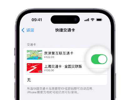 宜秀apple维修点分享iPhone上更换Apple Pay快捷交通卡手绘卡面 