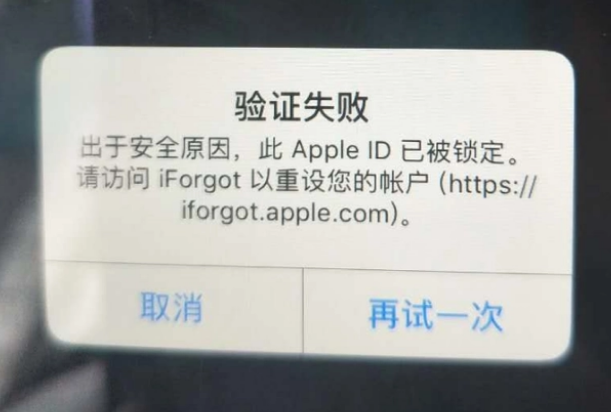 宜秀iPhone维修分享iPhone上正常登录或使用AppleID怎么办 