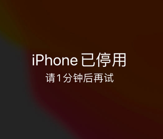 宜秀苹果手机维修分享:iPhone 显示“不可用”或“已停用”怎么办？还能保留数据吗？ 