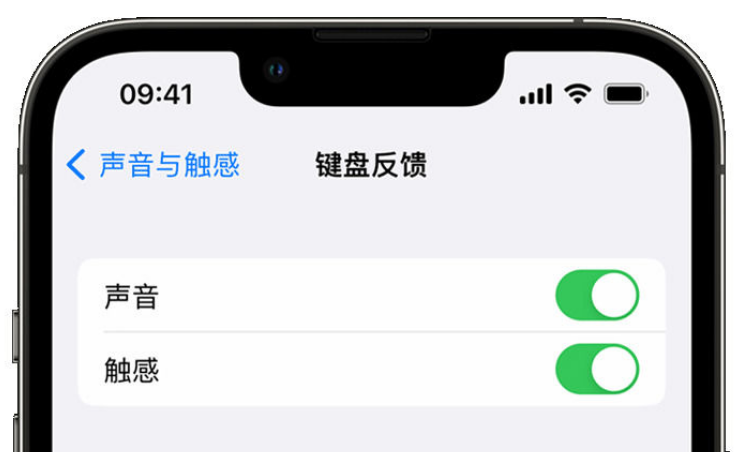 宜秀苹果手机维修分享iPhone 14触感键盘使用方法 