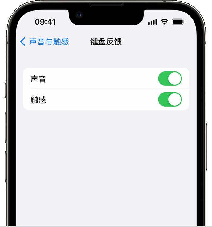 宜秀苹果14维修店分享如何在 iPhone 14 机型中使用触感键盘 