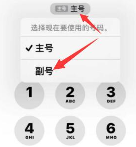 宜秀苹果14维修店分享iPhone 14 Pro Max使用副卡打电话的方法 