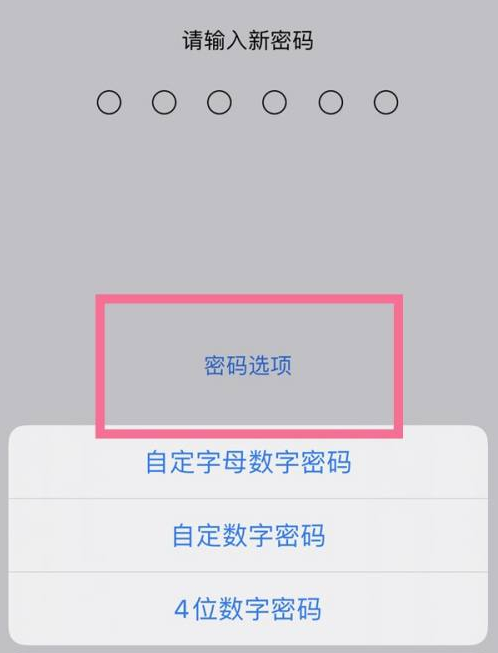 宜秀苹果14维修分享iPhone 14plus设置密码的方法 