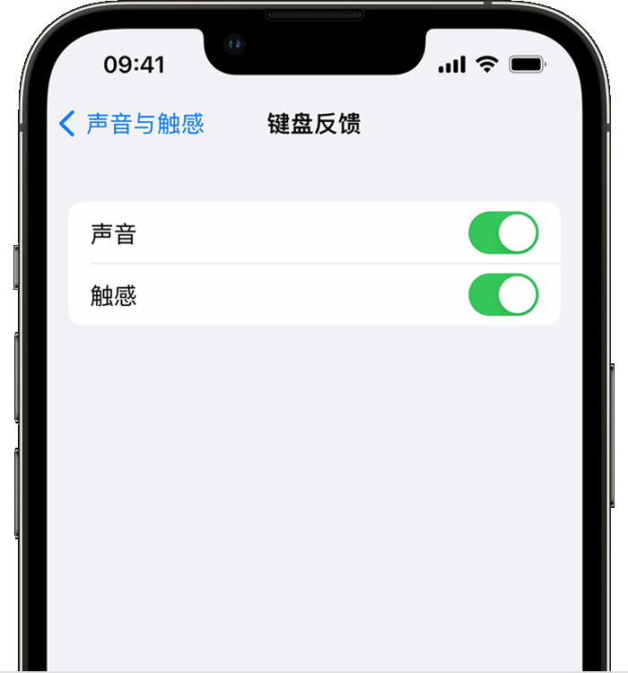宜秀苹果14维修分享iPhone 14 系列机型如何开启键盘声音或触感反馈 