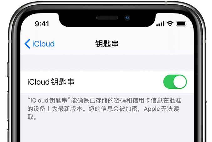 宜秀苹果手机维修分享在 iPhone 上开启 iCloud 钥匙串之后会储存哪些信息 