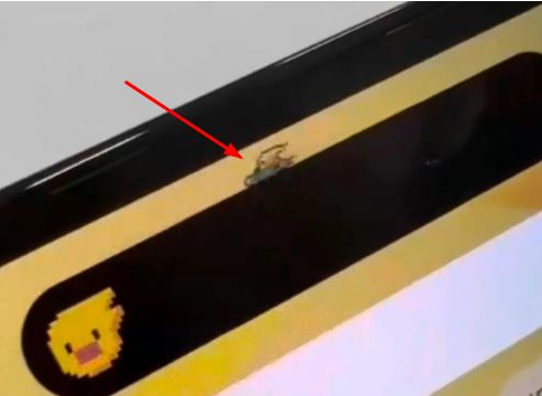 宜秀苹果14维修分享iPhone 14 Pro Max灵动岛怎么养宠物 