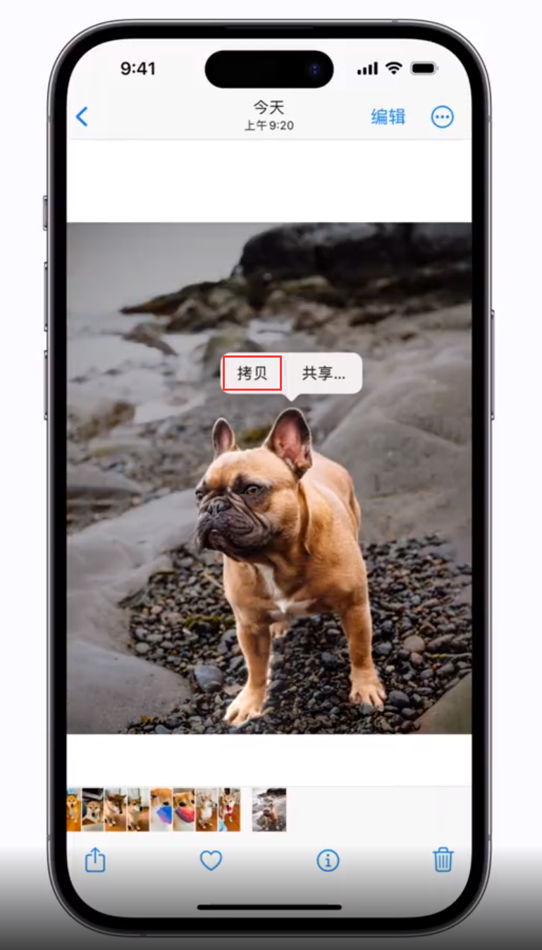 宜秀苹果手机维修分享 iOS 16 自带一键抠图功能 