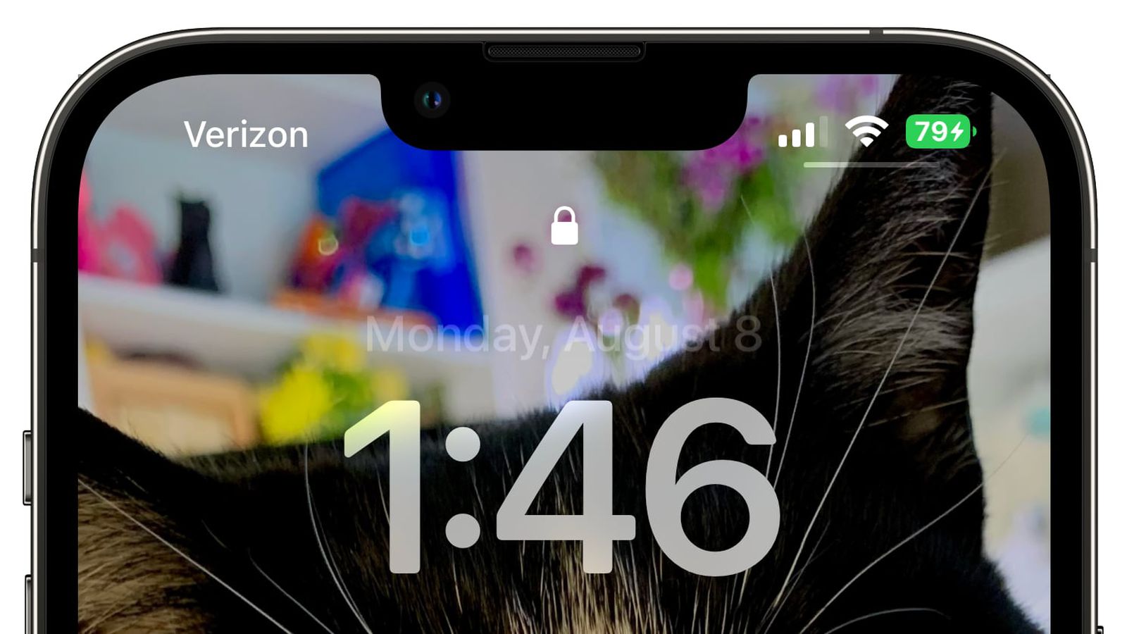 宜秀苹果手机维修分享iOS 16 beta 5 支持状态栏显示电池百分比，如何开启？支持哪些机型 