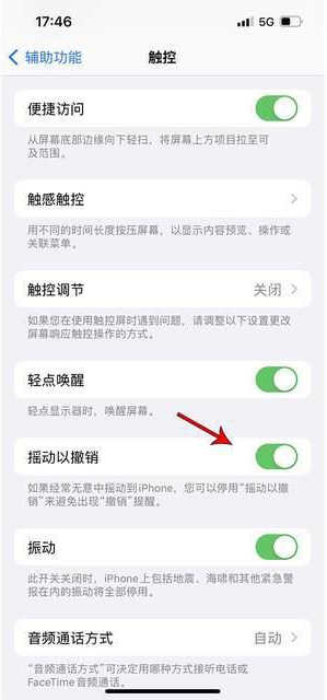 宜秀苹果手机维修分享iPhone手机如何设置摇一摇删除文字 