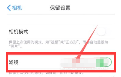 宜秀苹果13维修分享iPhone13拍照有绿点是怎么回事 