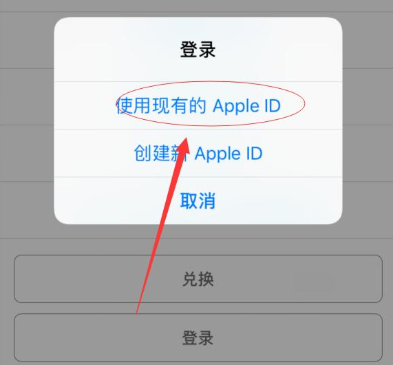 宜秀苹果手机维修分享两台iPhone设备可以同时登录一个Apple ID吗 