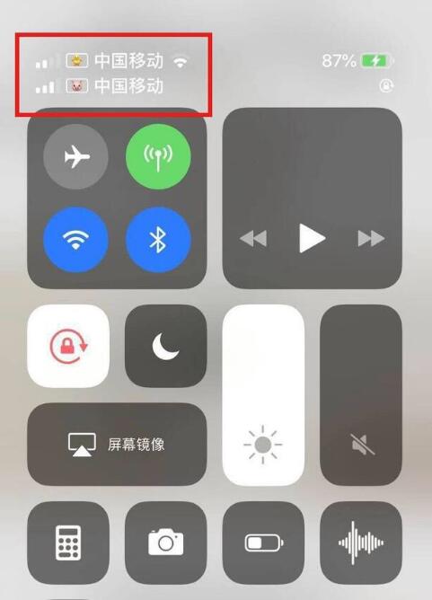 宜秀苹果手机维修分享为 iPhone 12 双卡设置标签 