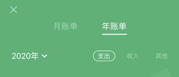 宜秀苹果手机维修分享如何在 iPhone 上查看支付宝和微信年支出账单 